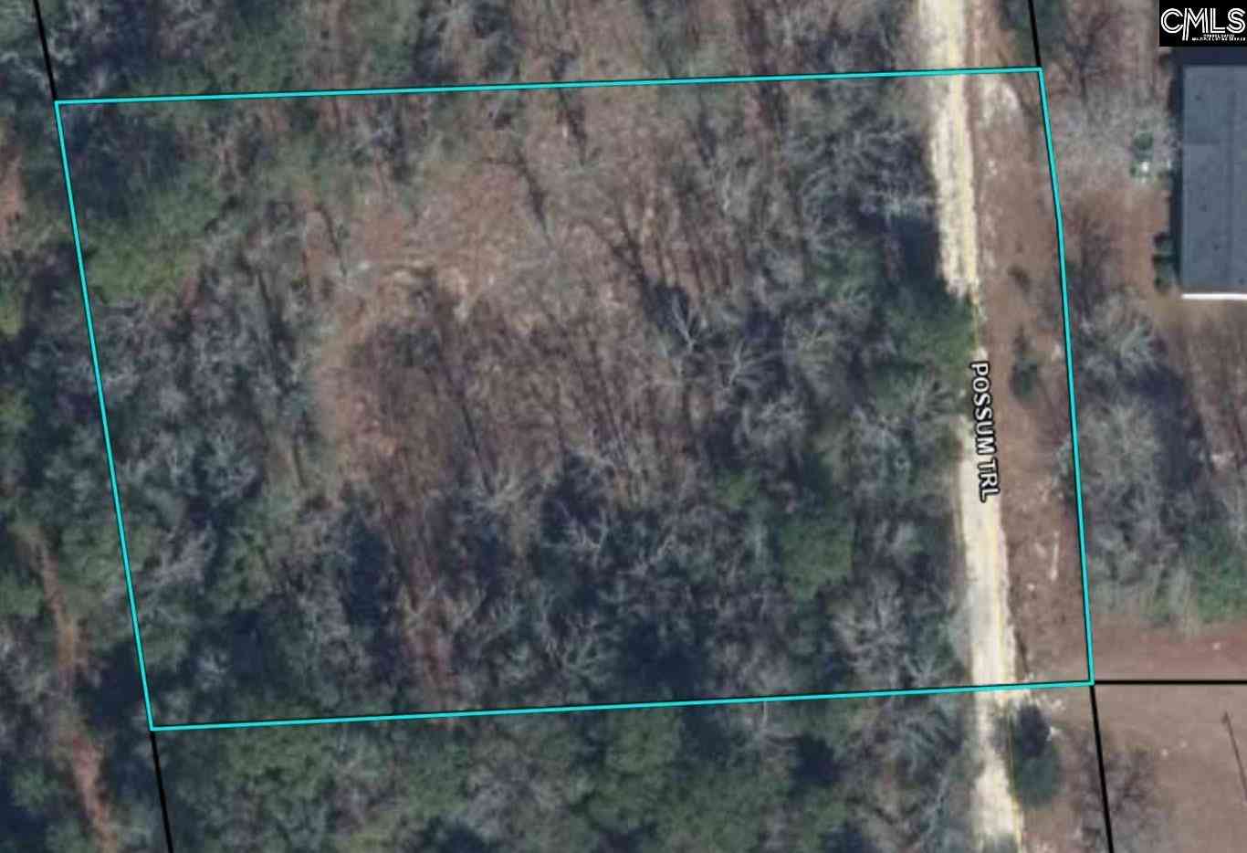 Vacant Land For Sale - Possum Trail<br/> Bamberg, SC 29003