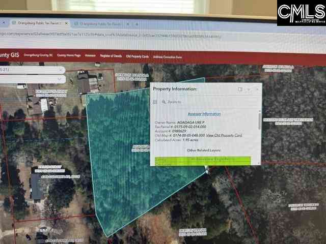 Vacant Land For Sale - Columbia Road<br/> Orangeburg, SC 29118