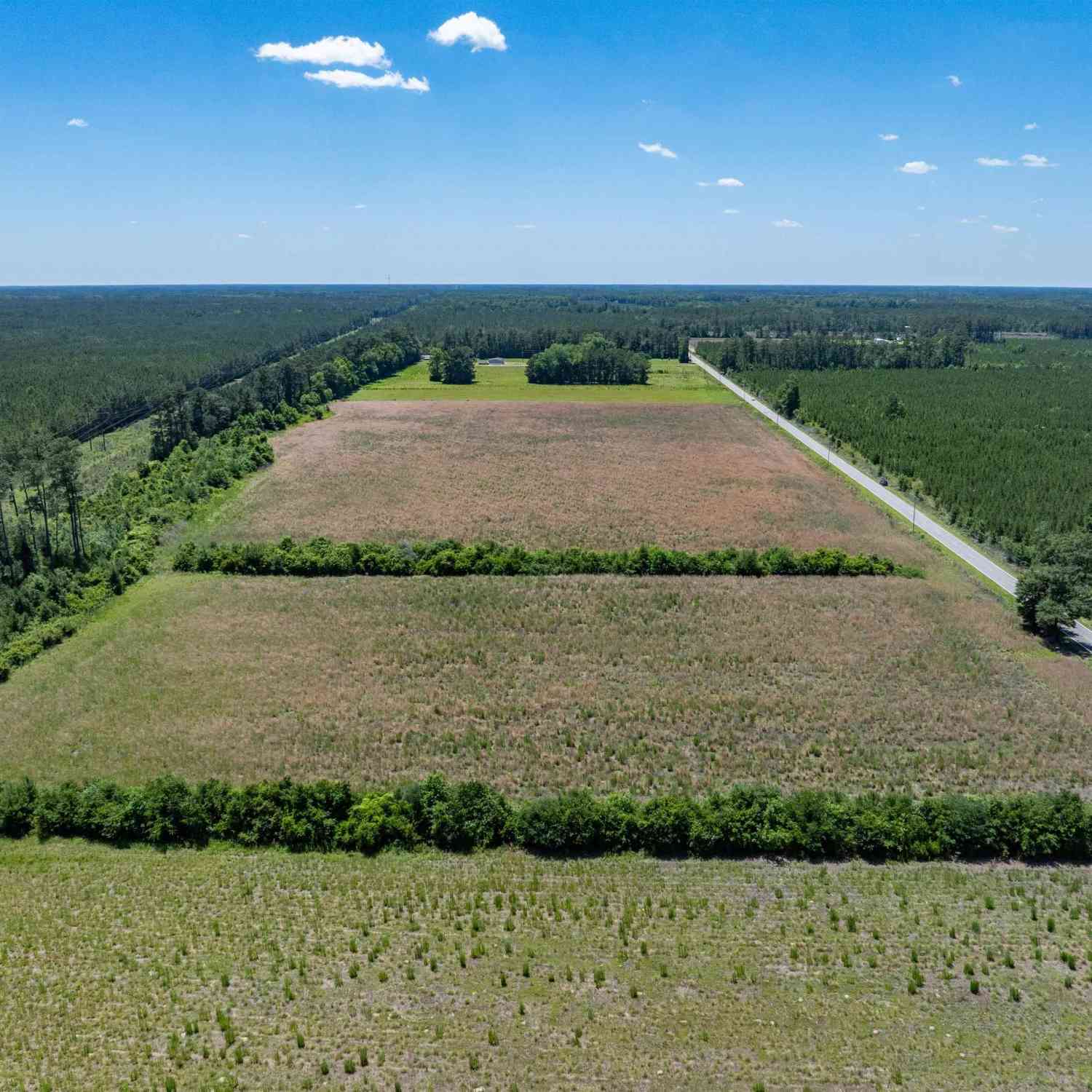 Vacant Land For Sale - 0000 Williams Hill Road #1<br/> Hemingway, SC 29954
