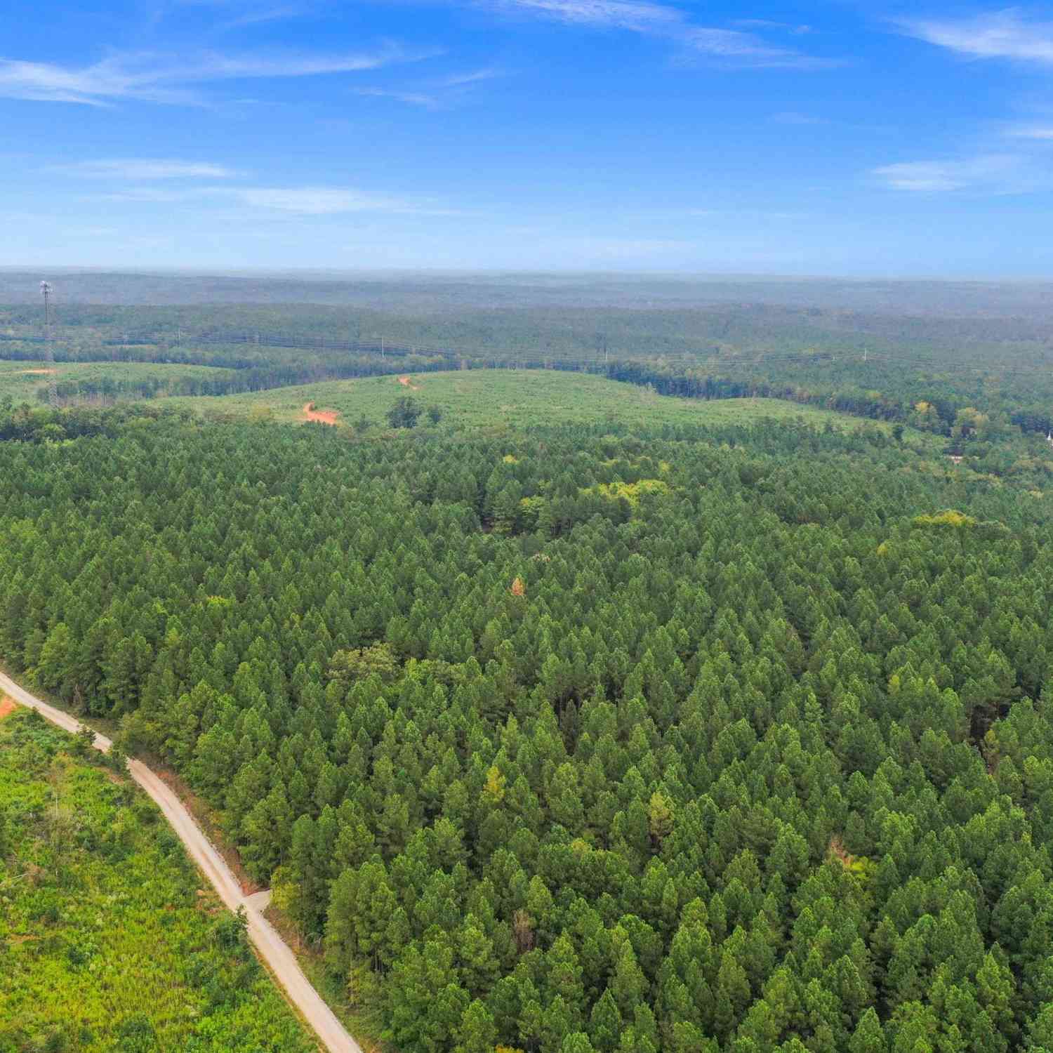 Vacant Land For Sale - 0000 Penner Rd #10<br/> Jenkinsville, SC 29065
