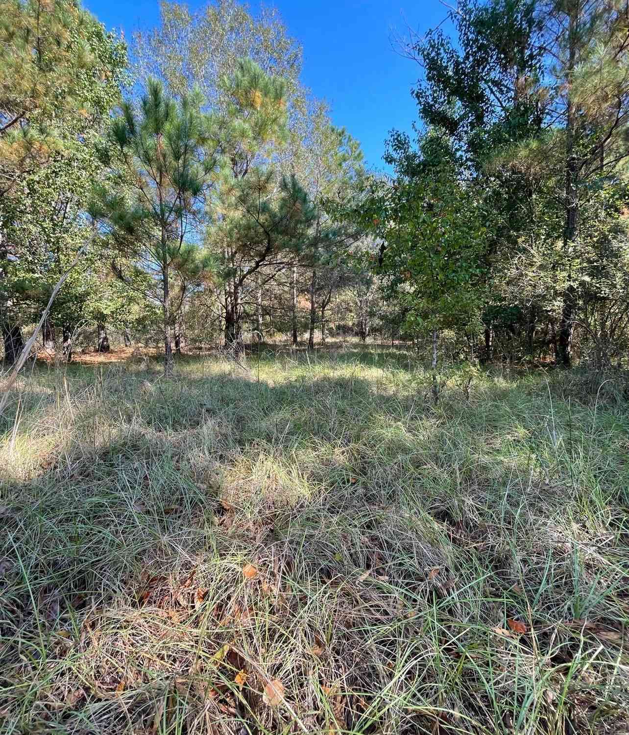 Vacant Land For Sale - 110 Willow Creek Boulevard<br/> Lugoff, SC 29078