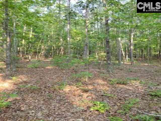 Vacant Land For Sale - Lake Dogwood Circle<br/> Columbia, SC 29044