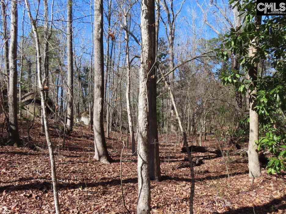 Vacant Land For Sale - Rion Road<br/> Winnsboro, SC 29180