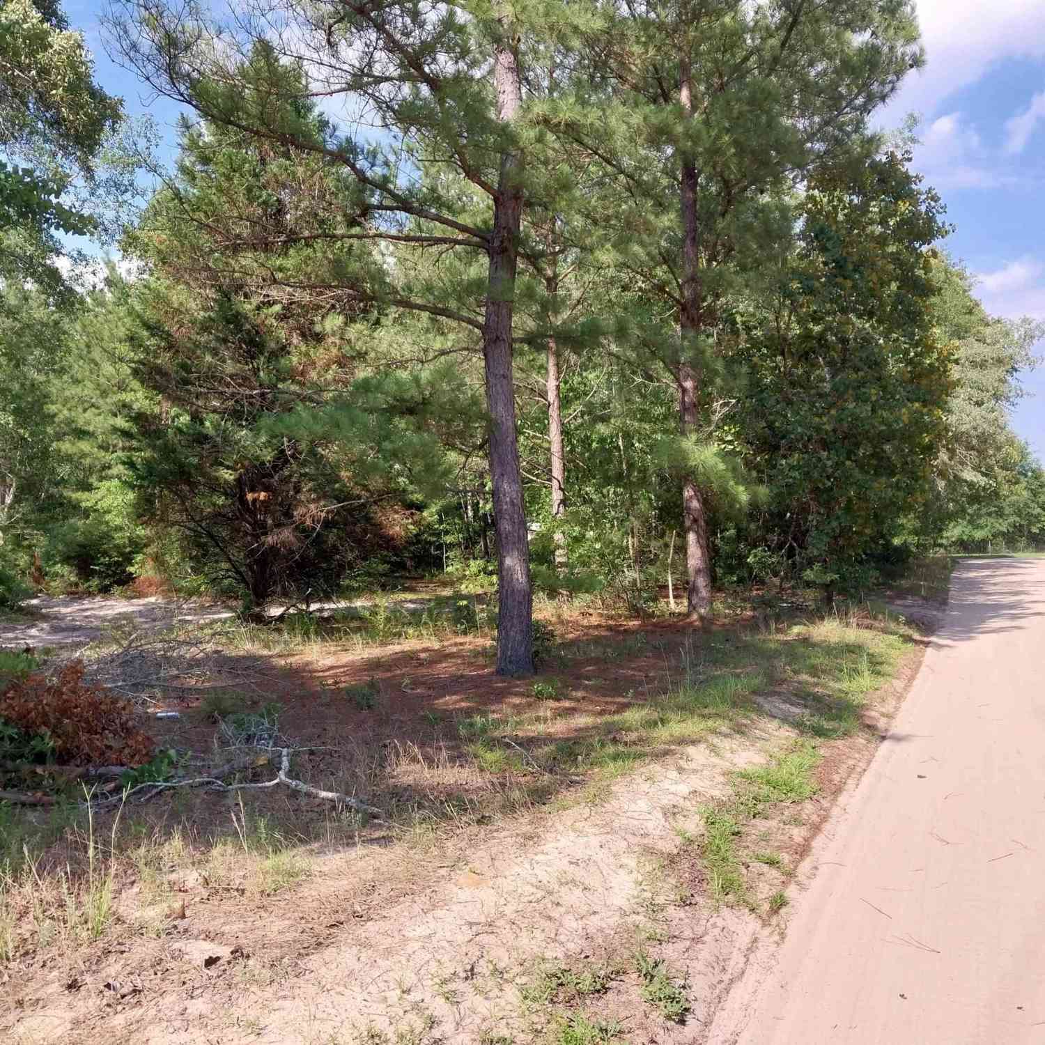 Vacant Land For Sale - 143 Tom Lucas Lane<br/> Pelion, SC 29123