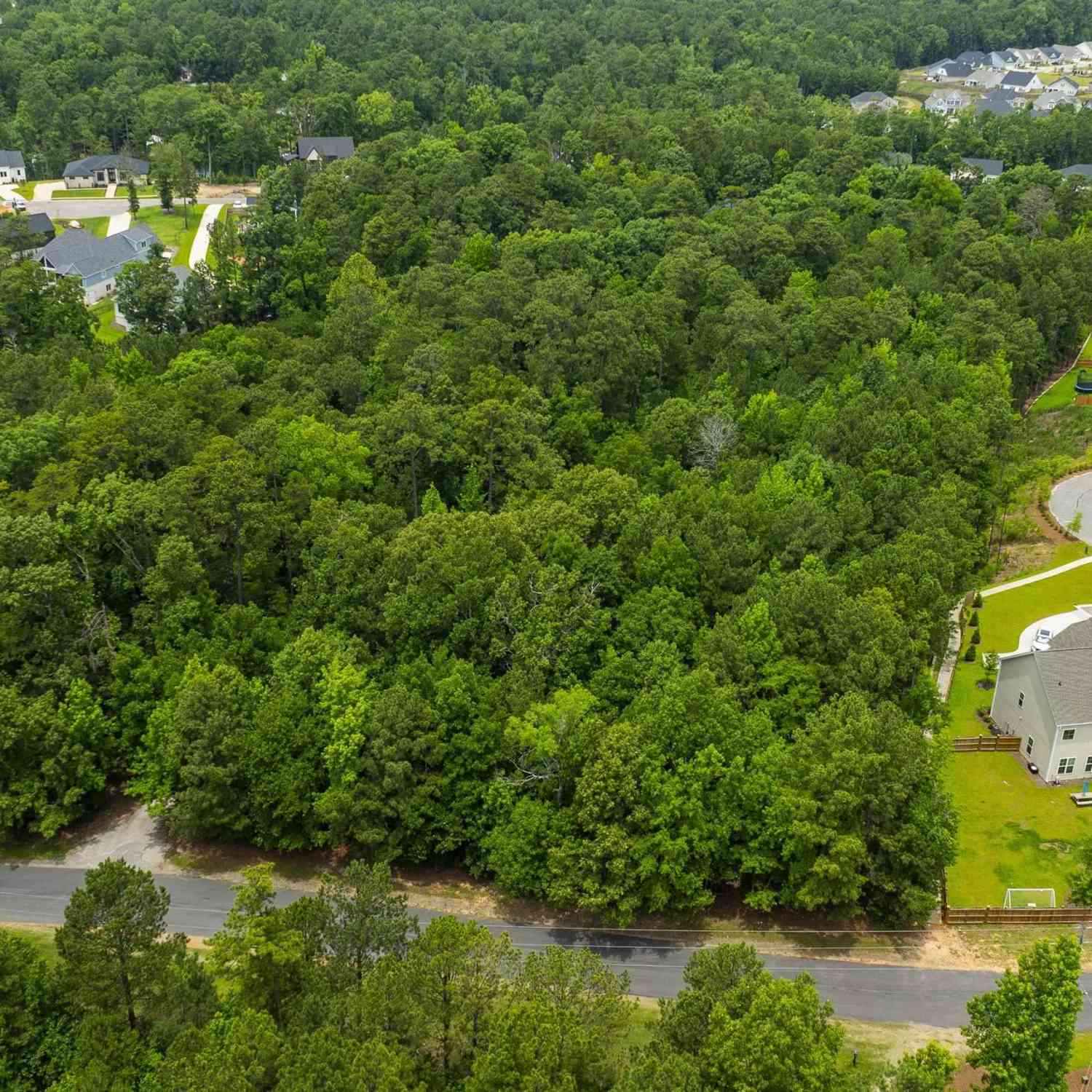 Homes For Sale - LOT 0 Quail Walk Trail<br/> Chapin, SC 29036
