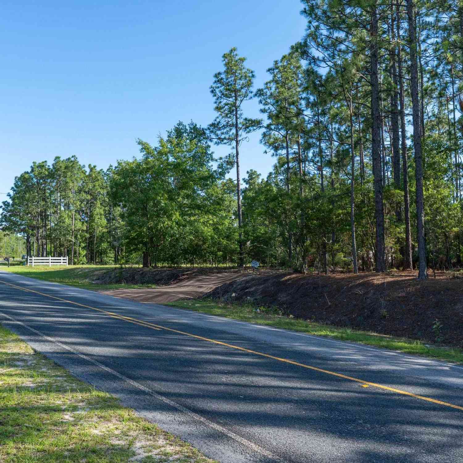 Vacant Land For Sale - Pine Plain Road<br/> Gaston, SC 29053
