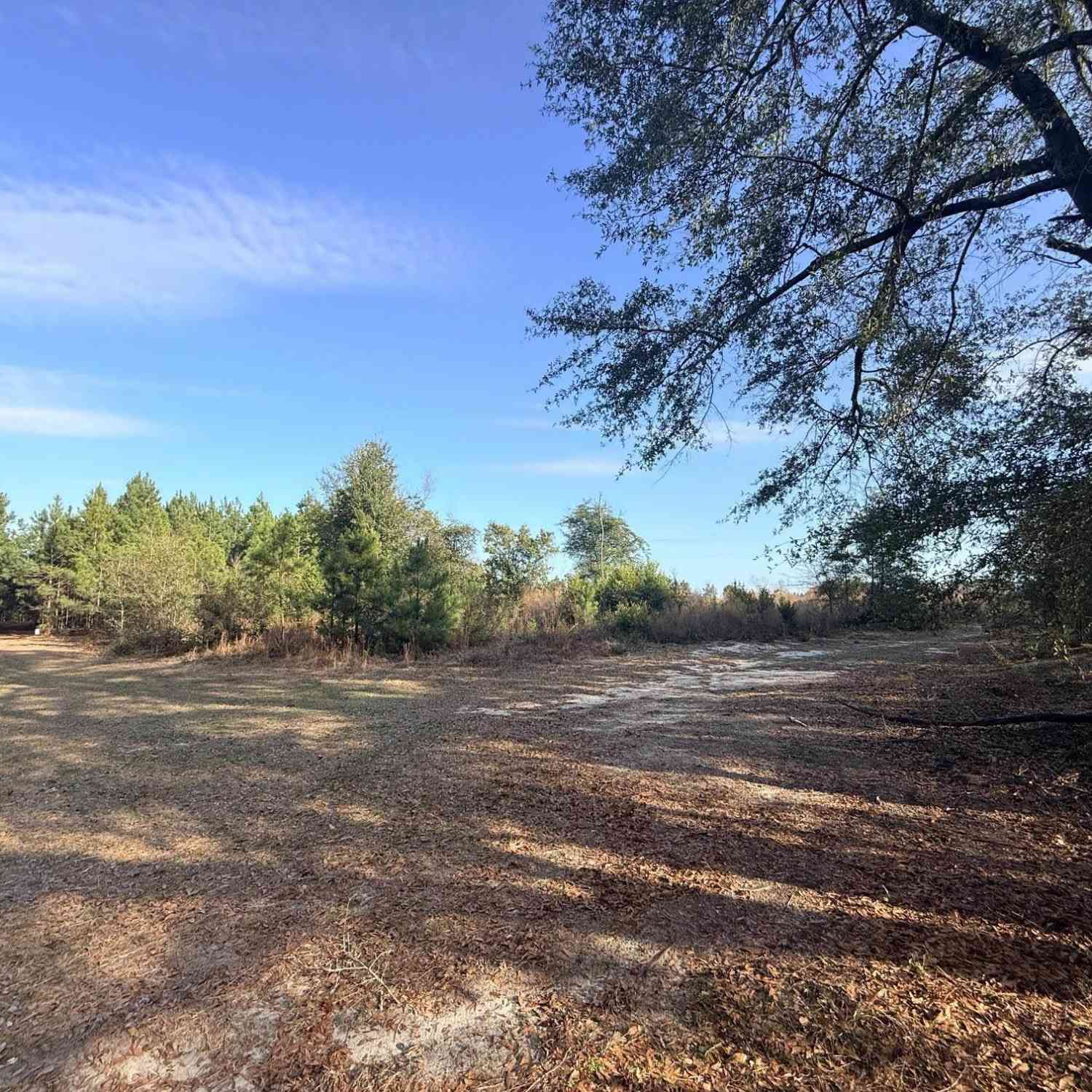 Vacant Land For Sale - Festival Trail Road<br/> Salley, SC 29137