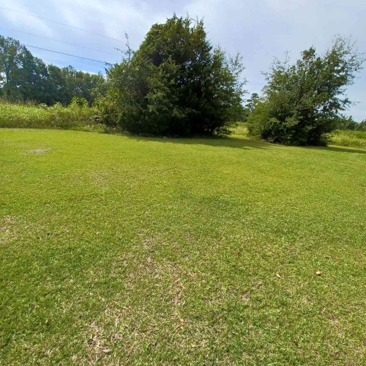 Vacant Land For Sale - 2495 Willow Grove Road<br/> Florence County, Pamplico, SC 29583