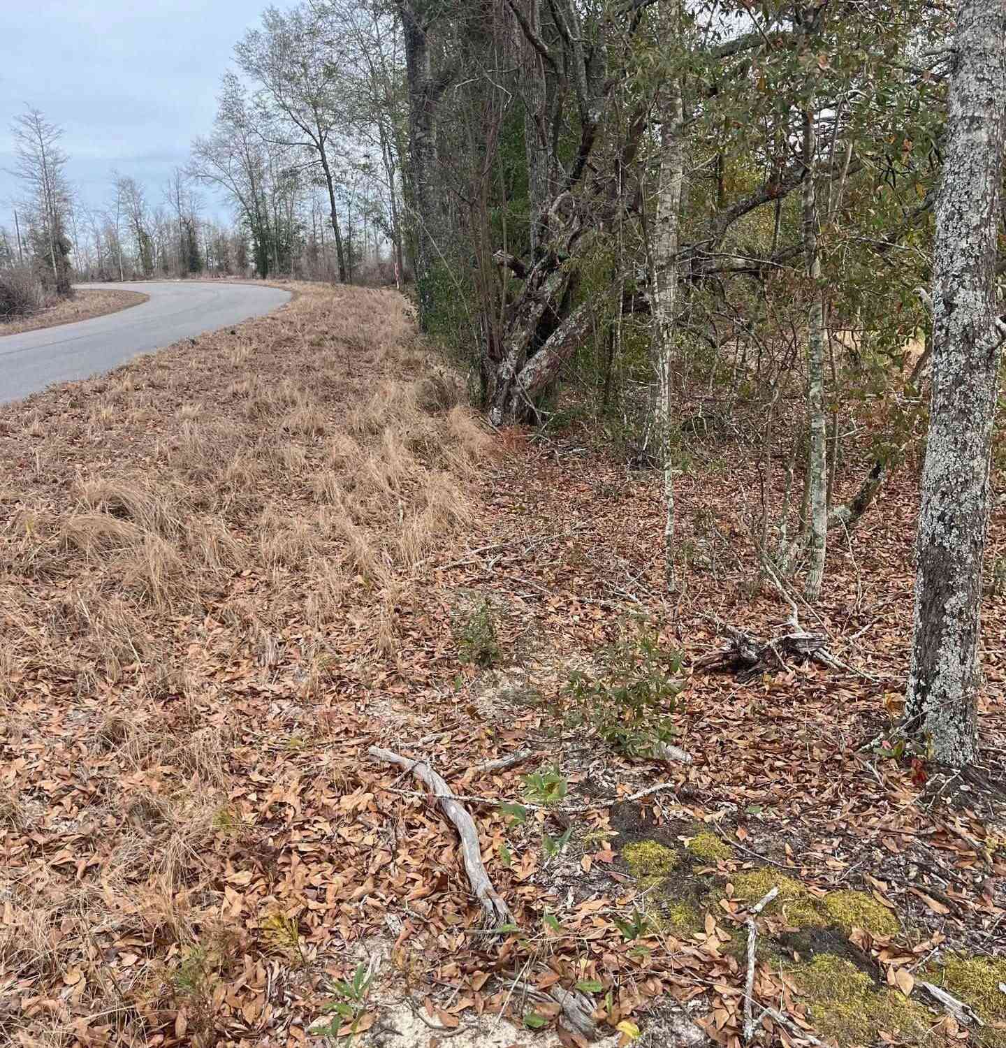 Vacant Land For Sale - WHL 7 Rainbow Drive #WHL 7<br/> Aiken County, Salley, SC 29137
