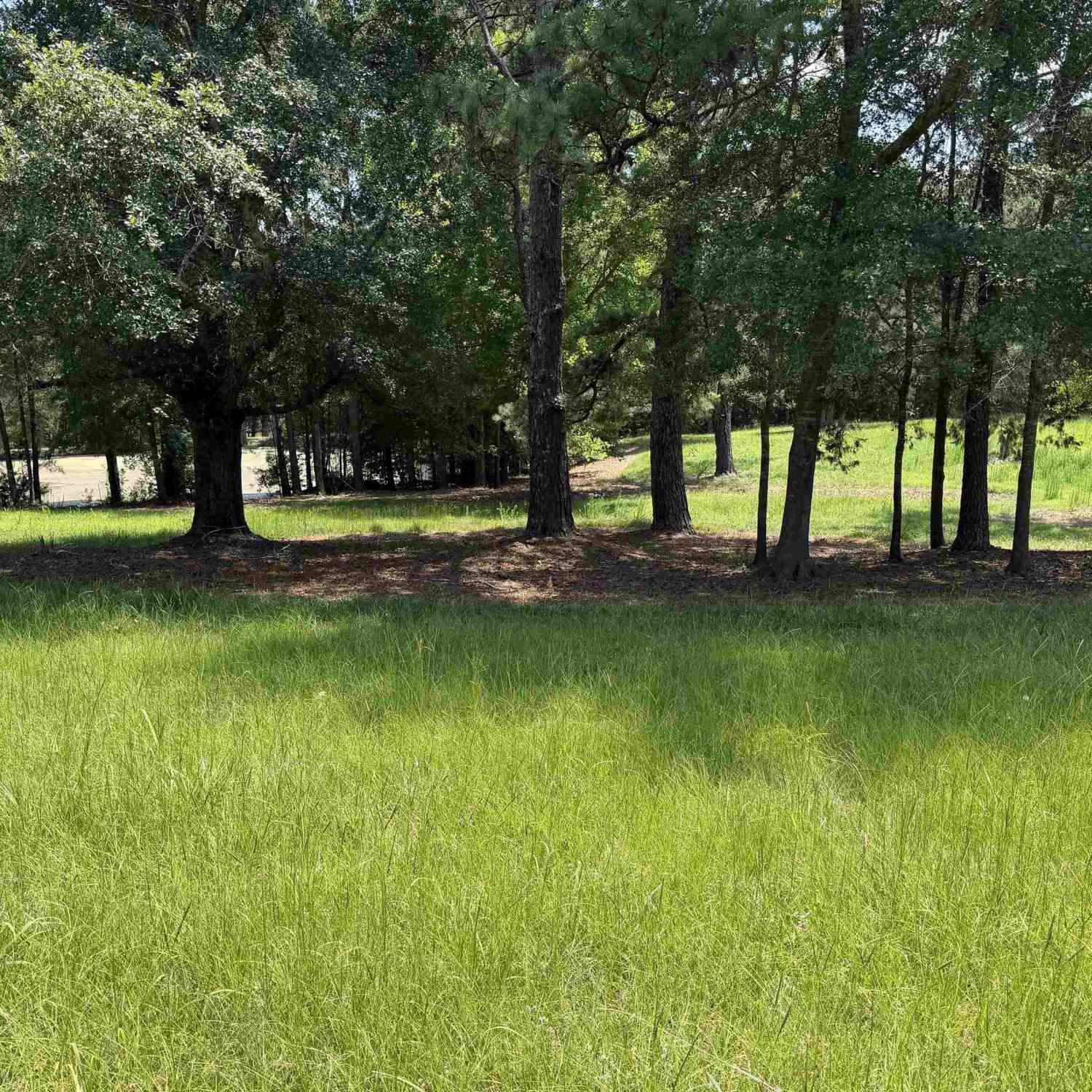 Vacant Land For Sale - 812 NE Sandfield Road NE<br/> Blythewood, SC 20916