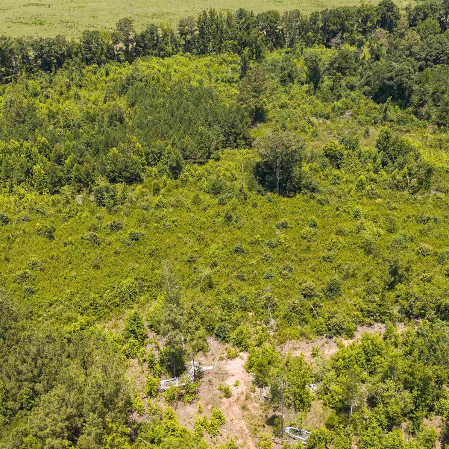 Vacant Land For Sale - Stevens Road<br/> Saluda, SC 29138