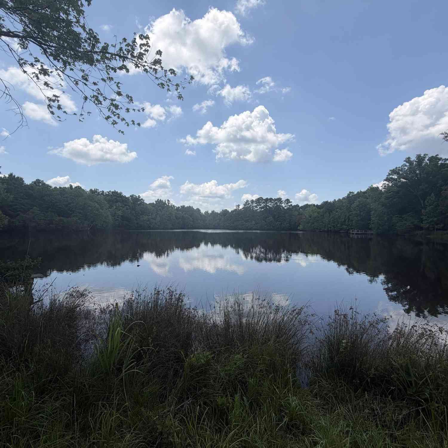 Vacant Land For Sale - 789 Ira Kinard Road<br/> Prosperity, SC 29127
