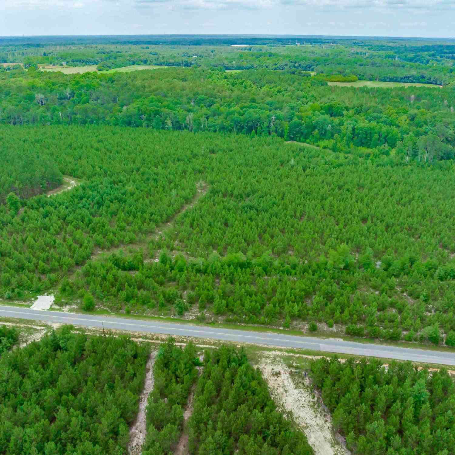 Vacant Land For Sale - TBD Catalina Boulevard<br/> Calhoun County, Swansea, SC 29160