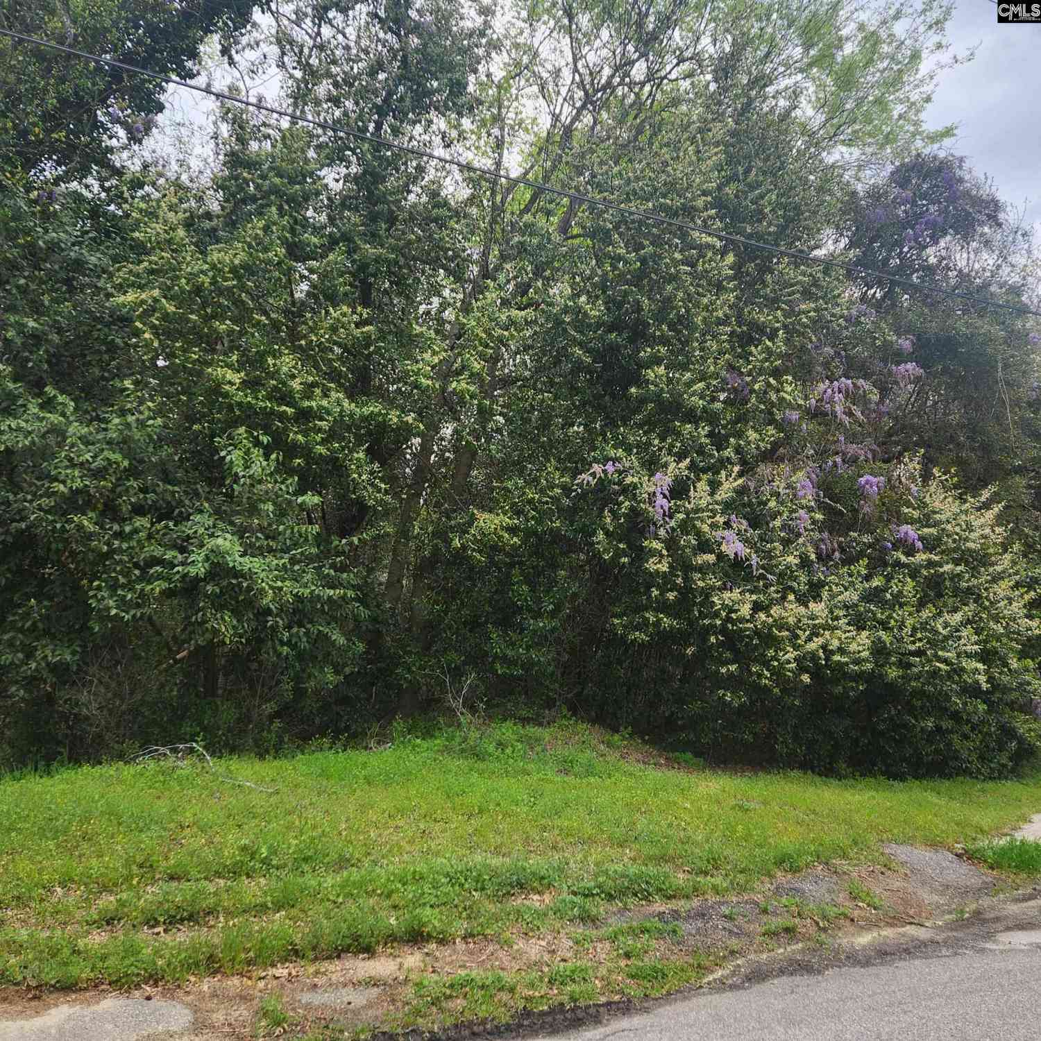 Vacant Land For Sale - 6430 Norris Street<br/> Richland County, Columbia, SC 29209