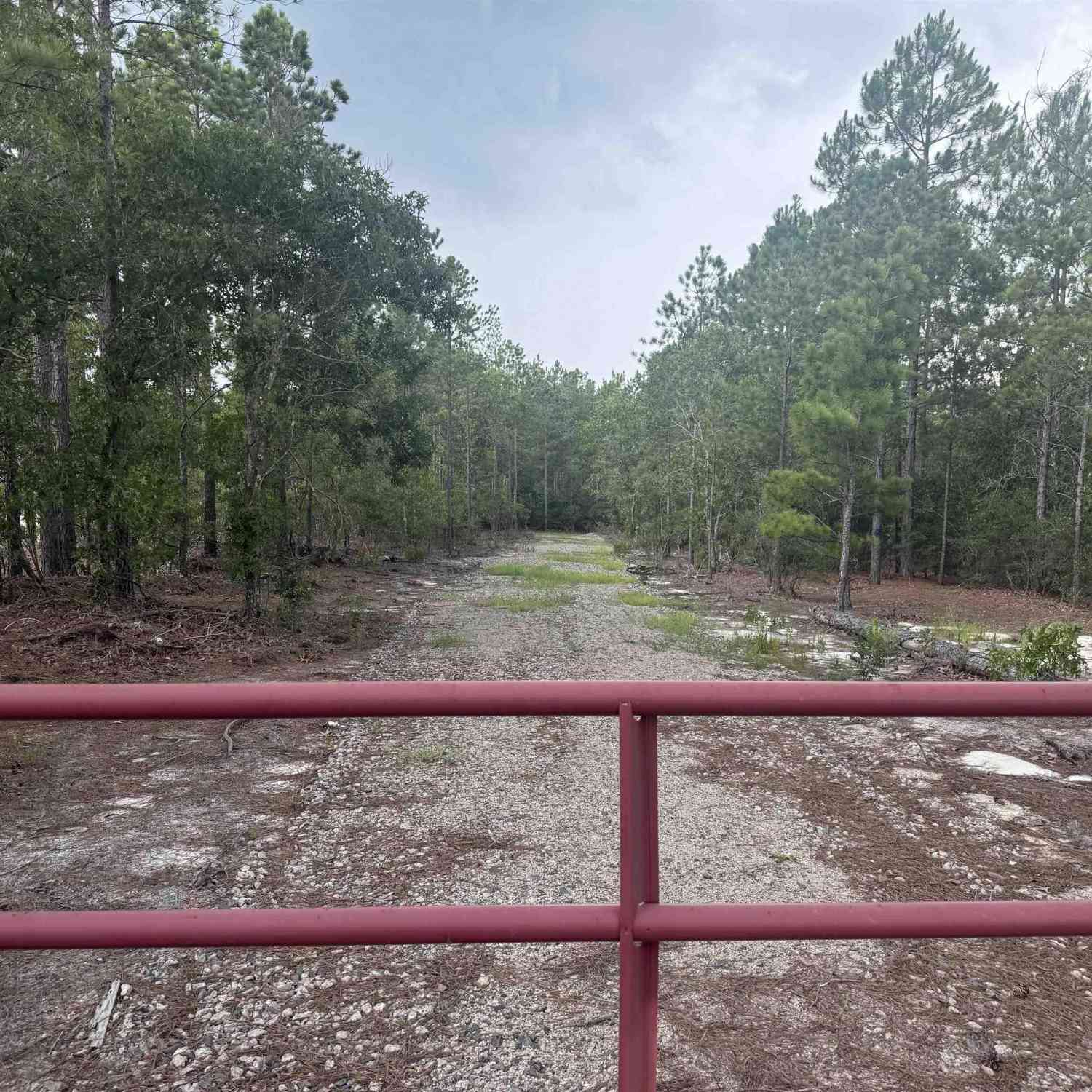 Vacant Land For Sale - 1101 Corbett Road<br/> Camden, SC 29020