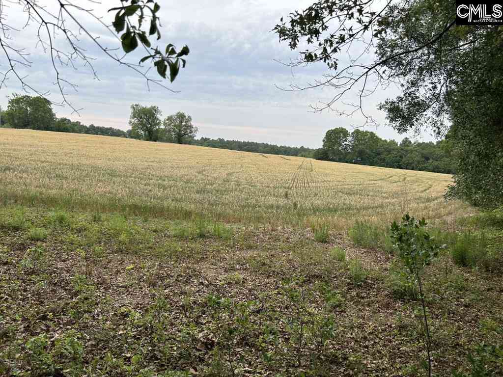 Vacant Land For Sale - Bodie Road<br/> Lexington County, Pelion, SC 29123