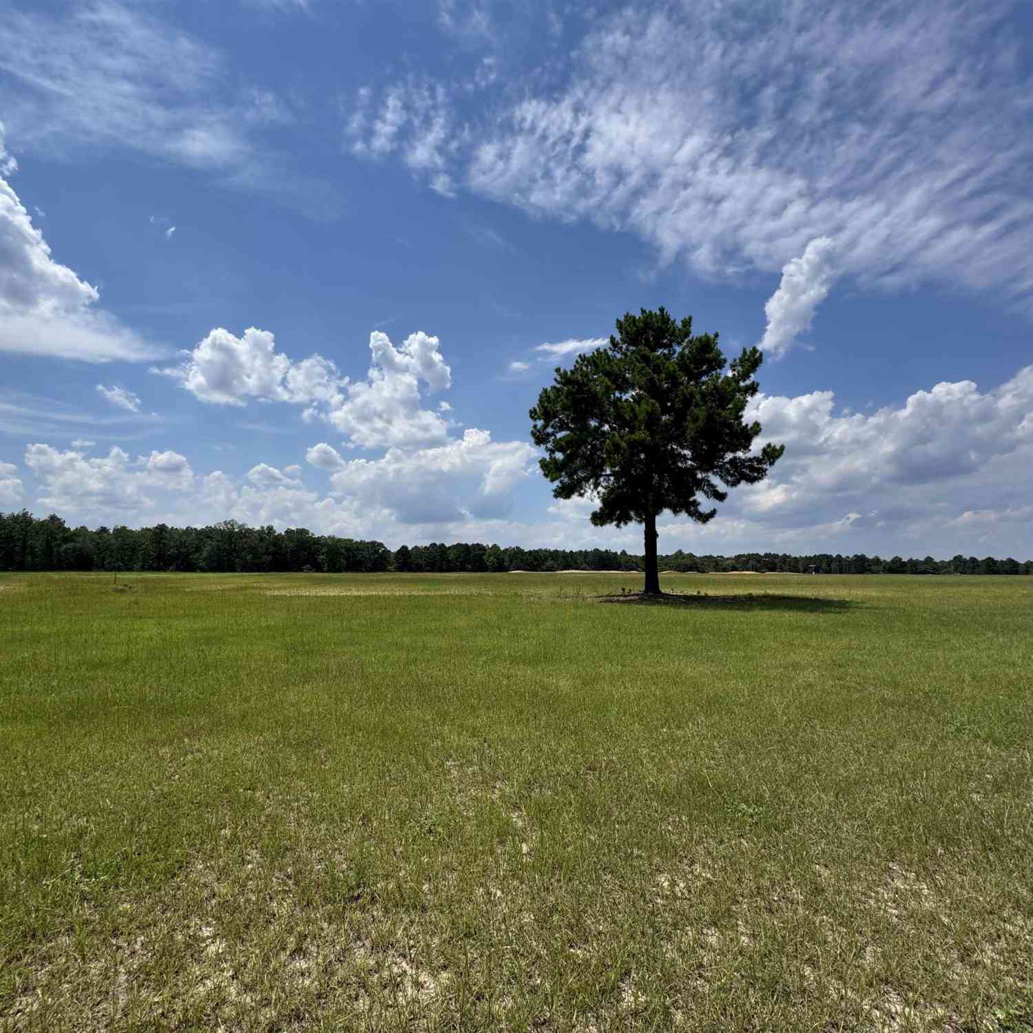 Vacant Land For Sale - 1465 6 Highway<br/> Lexington County, Gaston, SC 29053