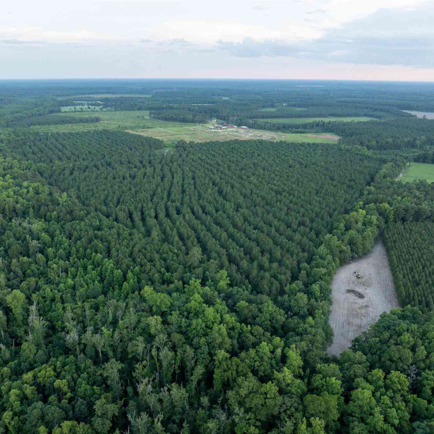 Vacant Land For Sale - TBD Rizer Cemetary Road<br/> Bamberg County, Ehrhardt, SC 29081