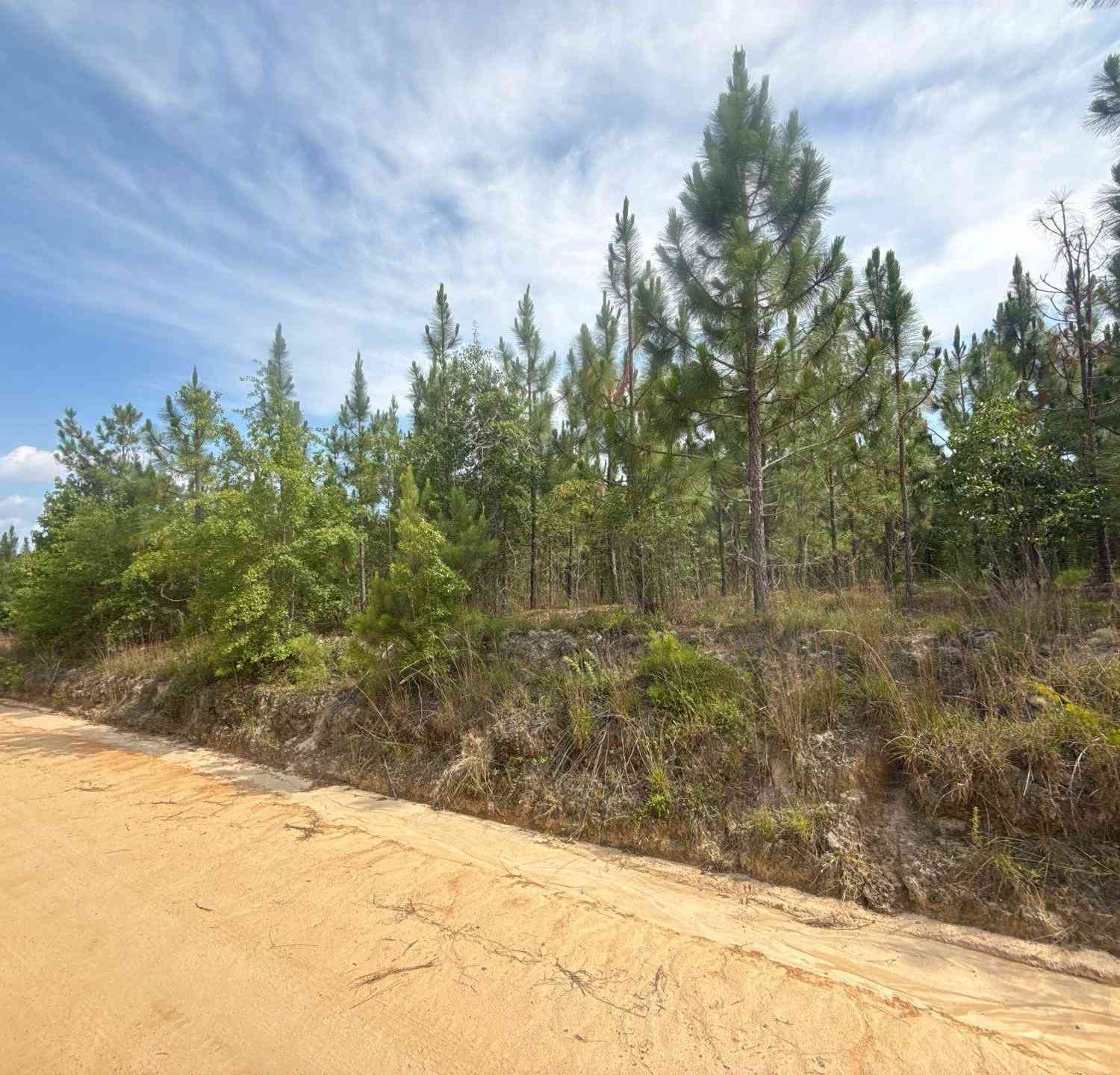 Vacant Land For Sale - MPF 1 State Rd S-28-31 Road<br/> Jefferson, SC 29718