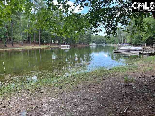 Vacant Land For Sale - 110 John Long Road<br/> Gilbert, SC 29054