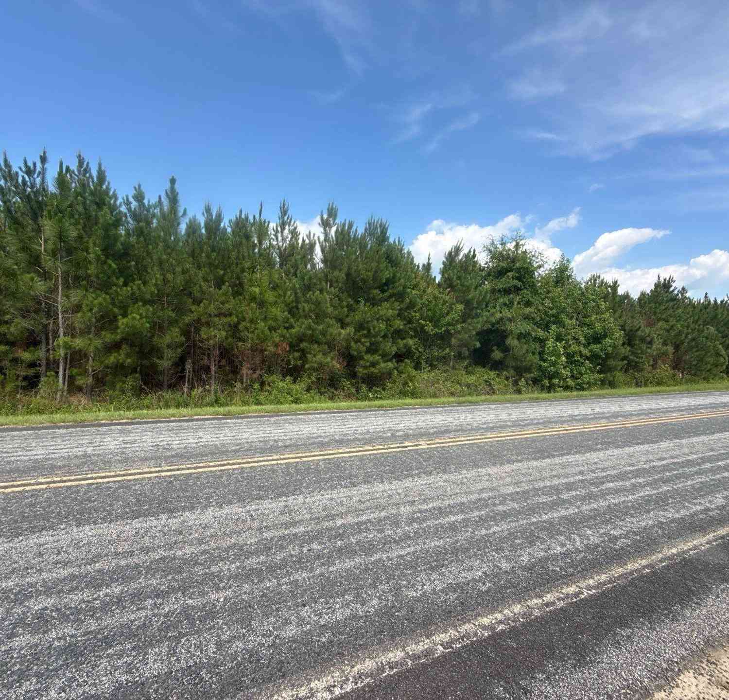 Vacant Land For Sale - MPF 4 State Rd S-28-31 Road<br/> Jefferson, SC 29718