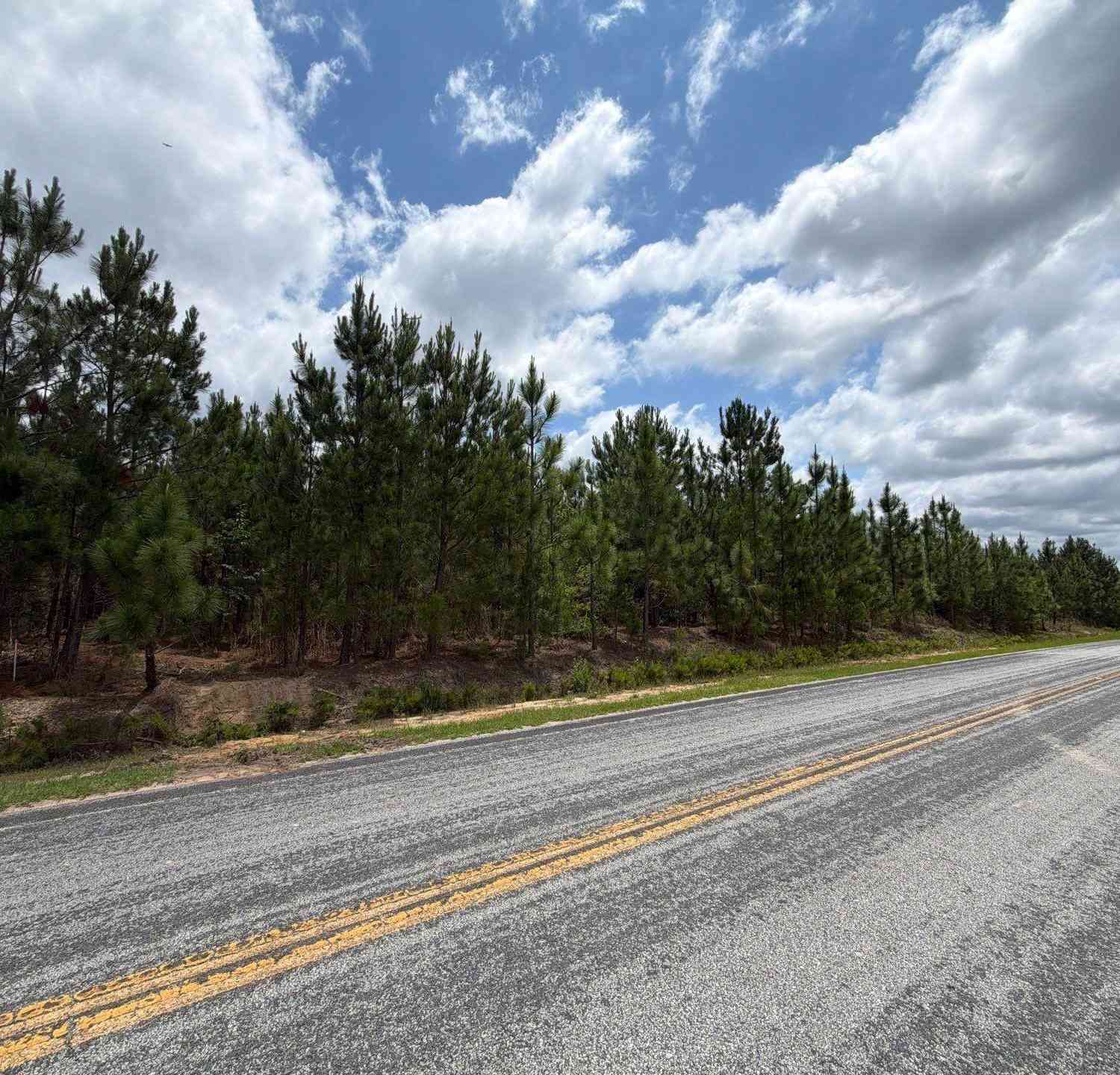 Vacant Land For Sale - MPF 5 State Rd S-28-31 Road<br/> Jefferson, SC 29718
