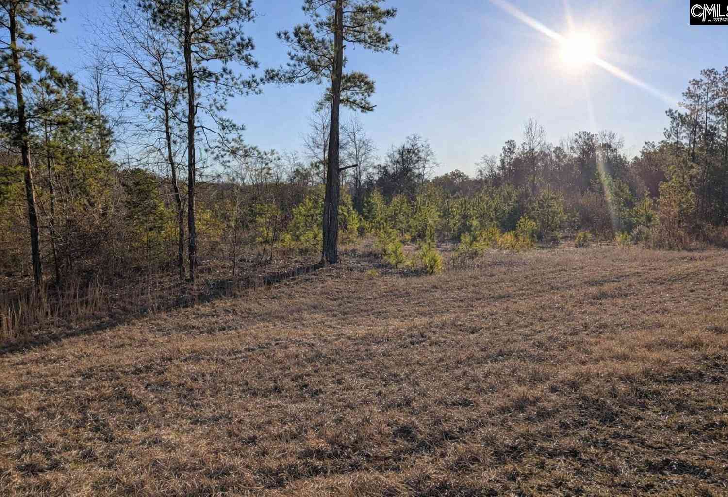 Vacant Land For Sale - 7884 Winnsboro Road<br/> Columbia, SC 29203