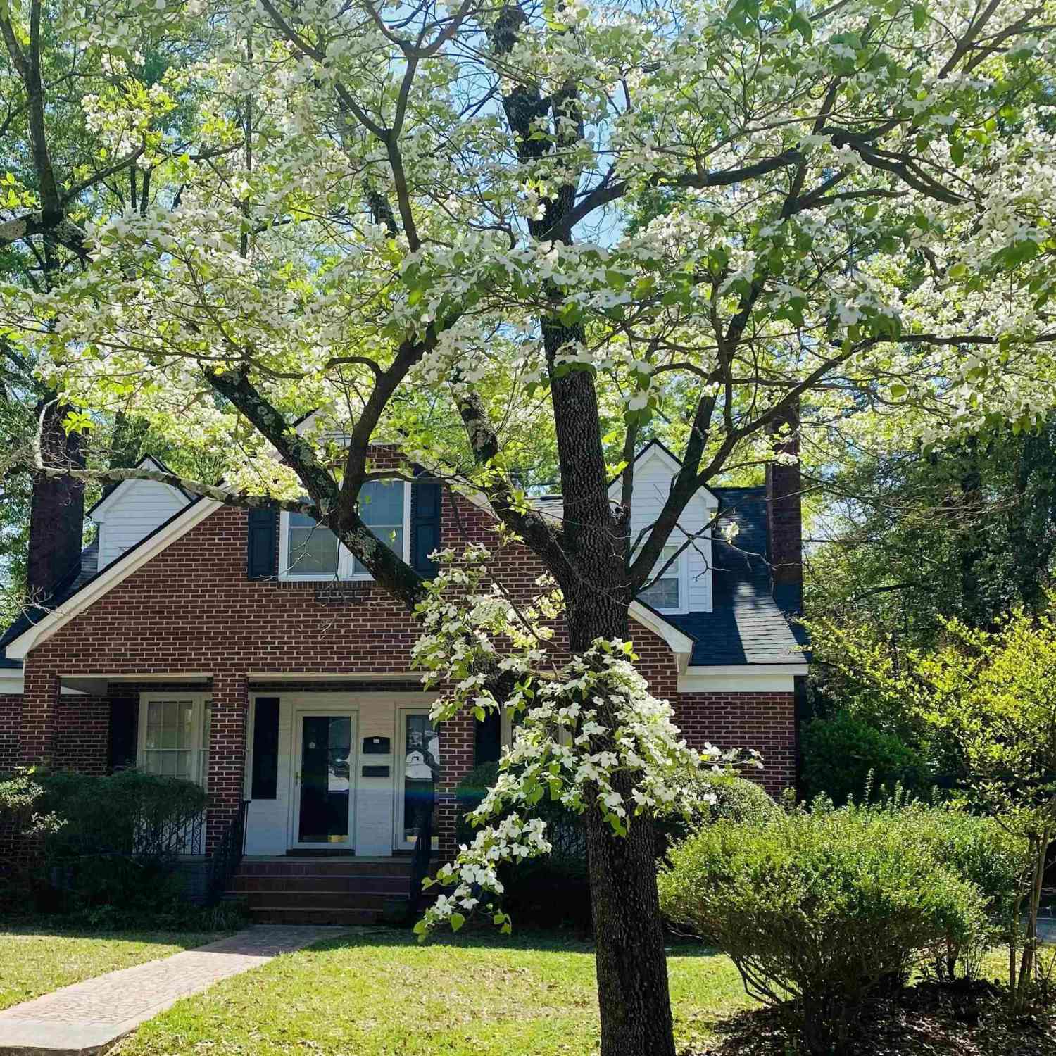 Multifamily For Sale - 2600/2604 Kiawah Avenue<br/> Columbia, SC 29205