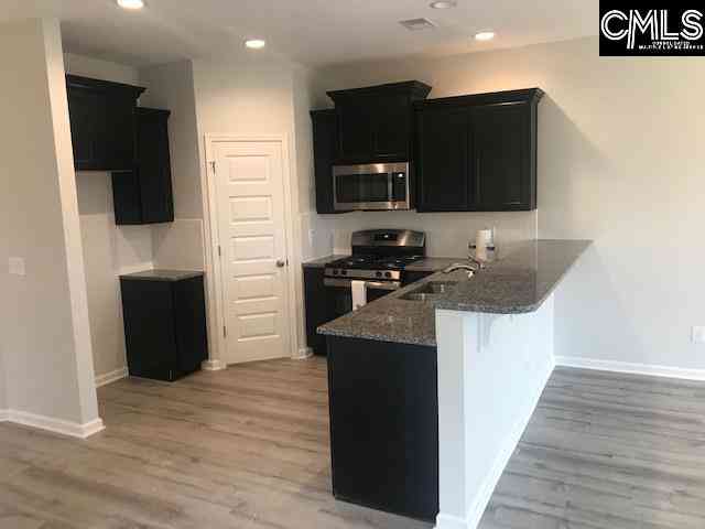 Homes For Sale - 1106 Bergenfield Lane<br/> Chapin, SC 29036