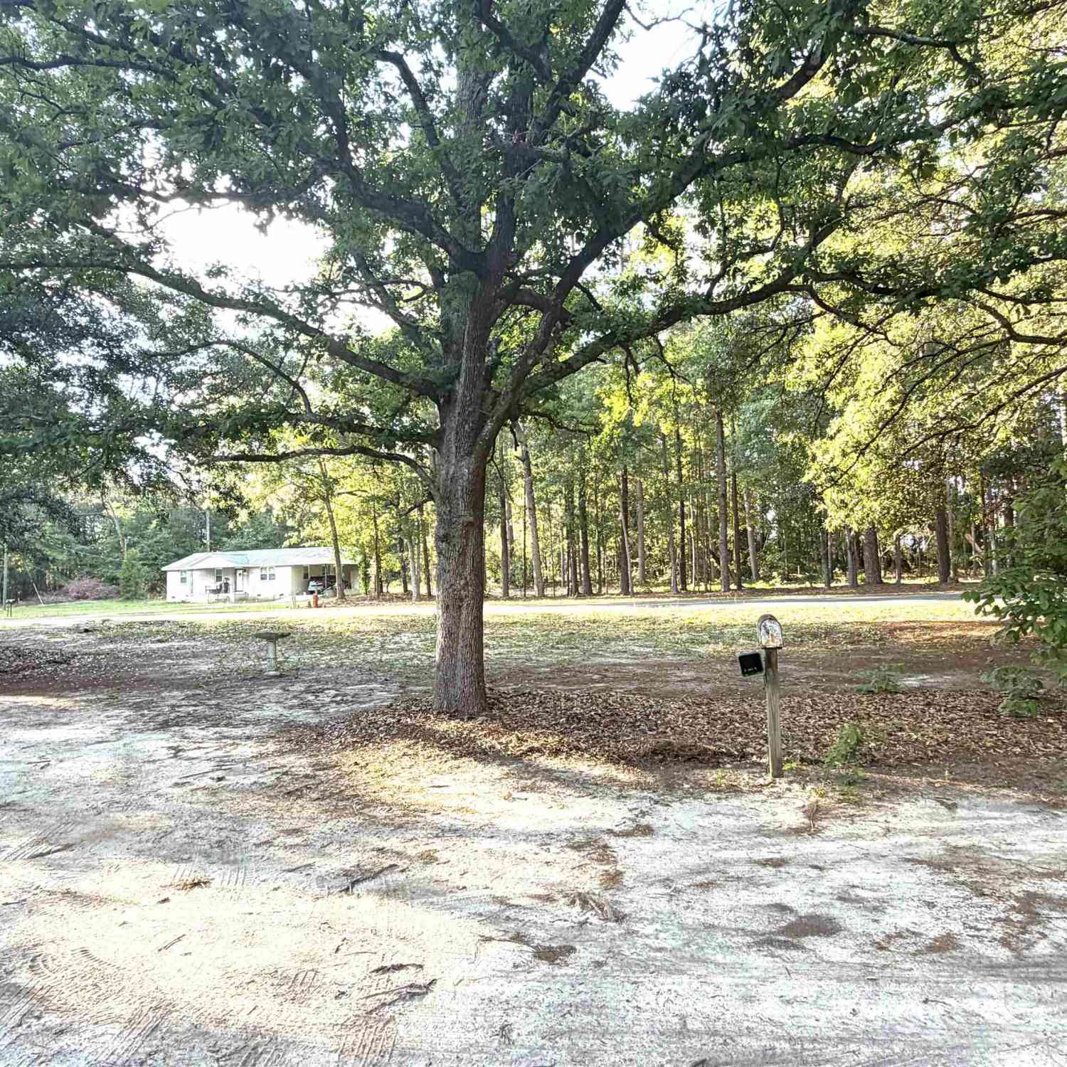 Homes For Sale - 123 Mack Edisto Road<br/> Swansea, SC 29160