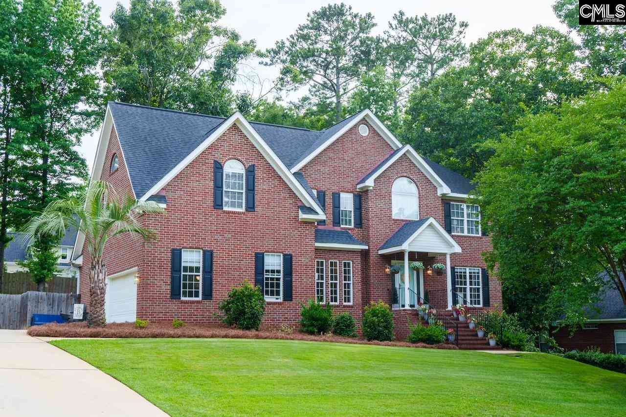 Homes For Sale - 313 Carola Lane<br/> Lexington, SC 29072