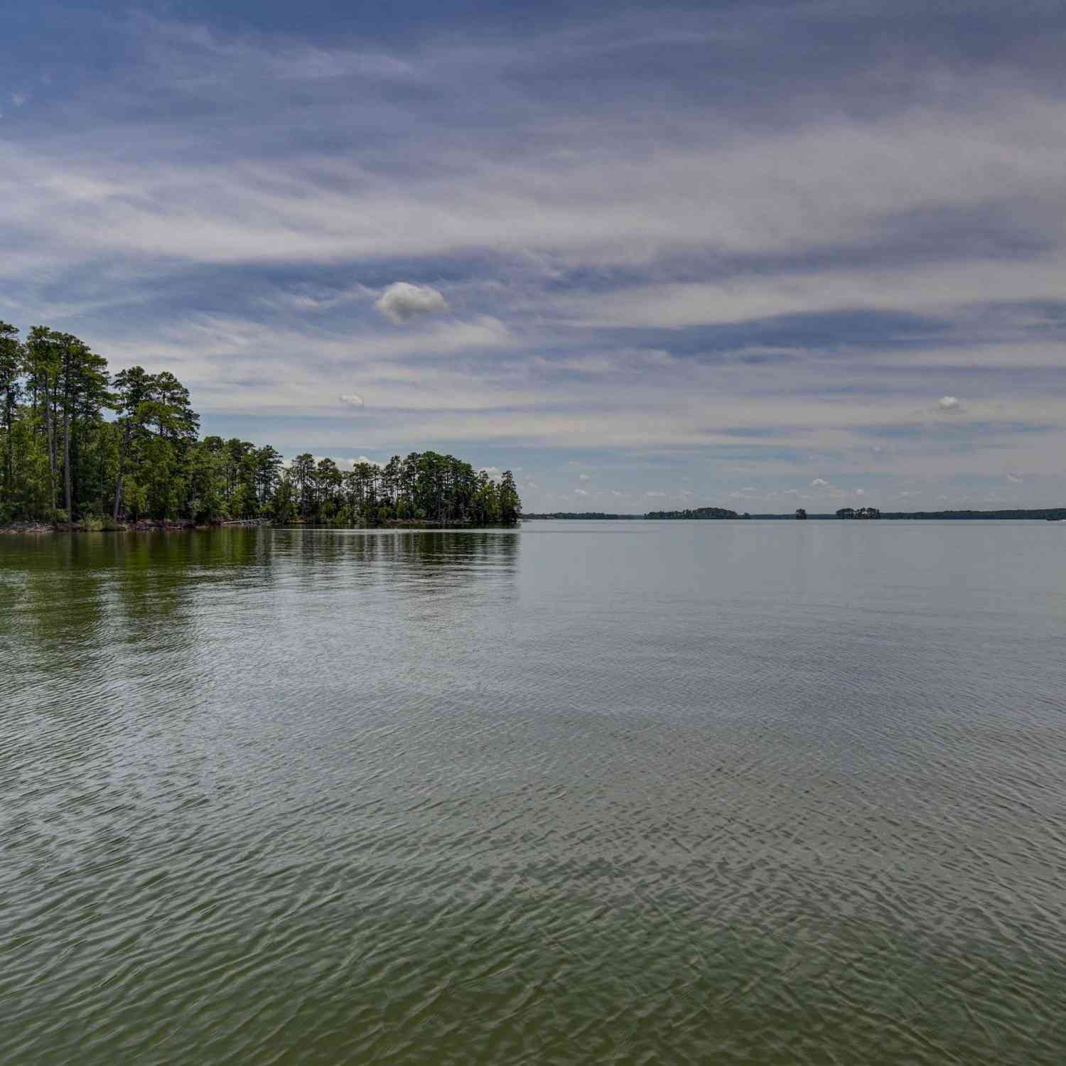 Homes For Sale - 150 Lake Vista Drive<br/> Lexington County, Chapin, SC 29036