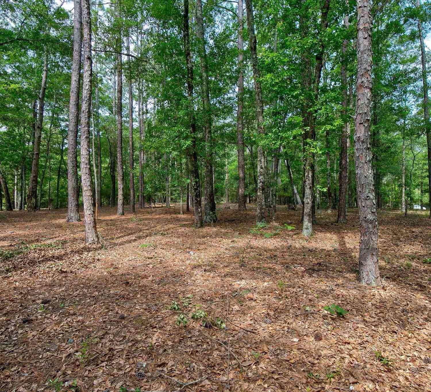 Homes For Sale - 8 Cedar Place<br/> Kershaw County, Camden, SC 29020