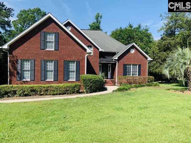 Homes For Sale - 417 Highwater Court<br/> Chapin, SC 29036