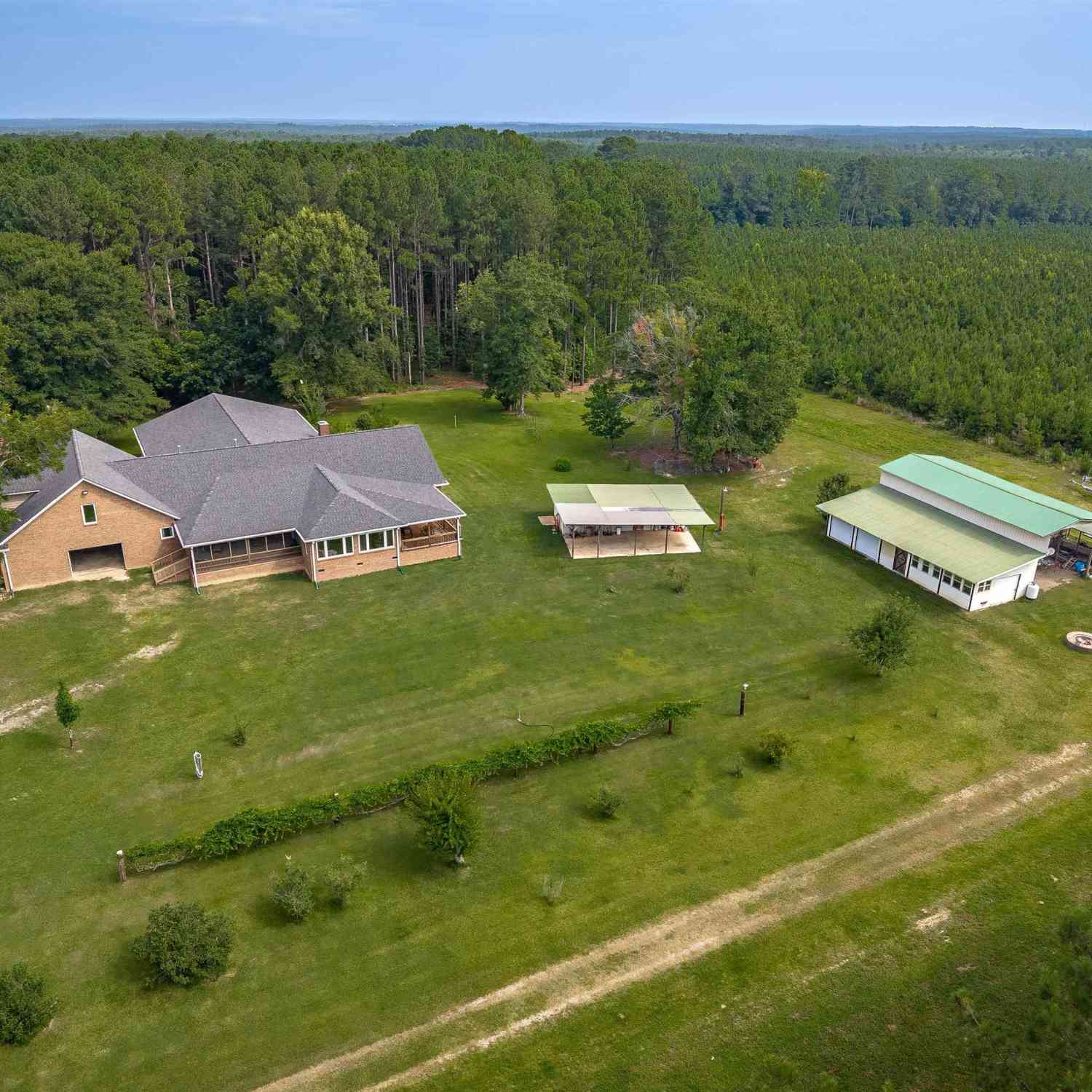 Vacant Land For Sale - 187 Peach Tree Street<br/> Saluda County, Ward, SC 29166