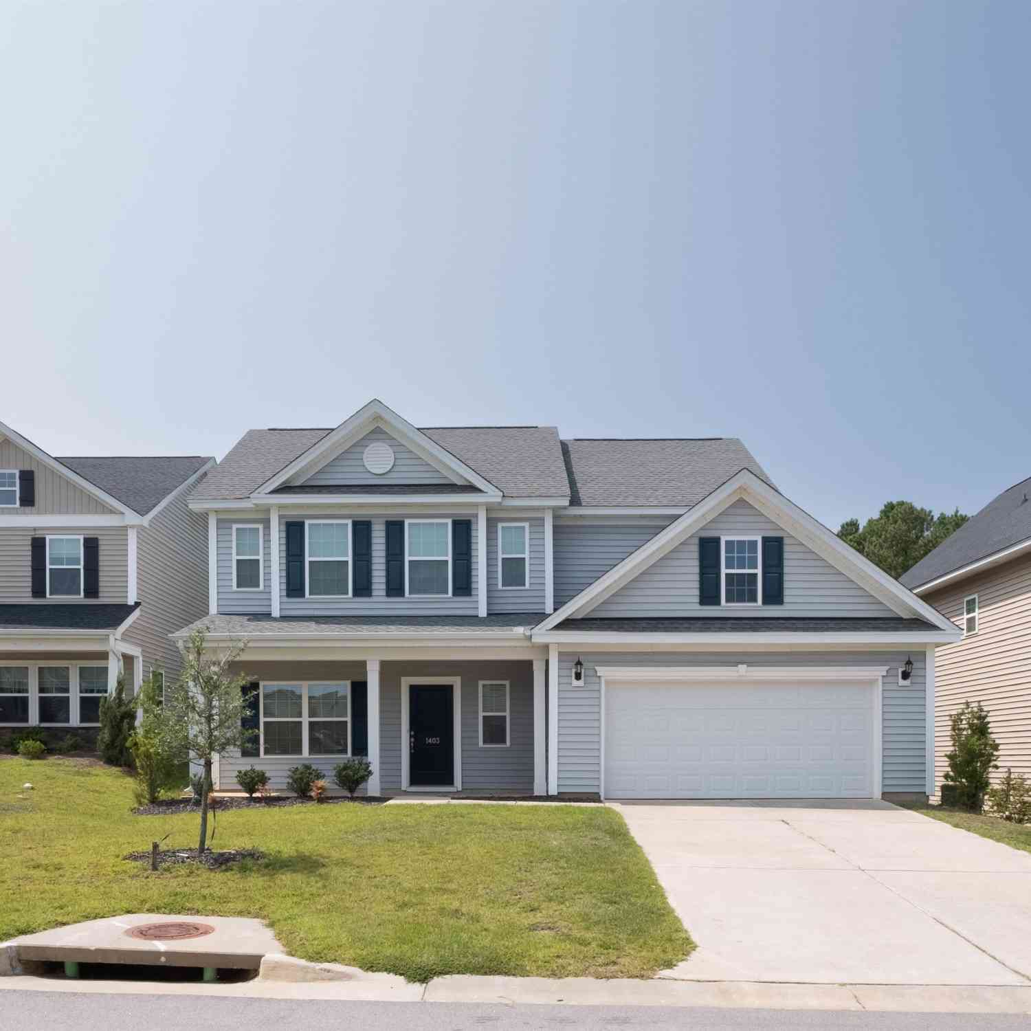 Homes For Rent - 1403 Tamarind Lane<br/> Chapin, SC 29036