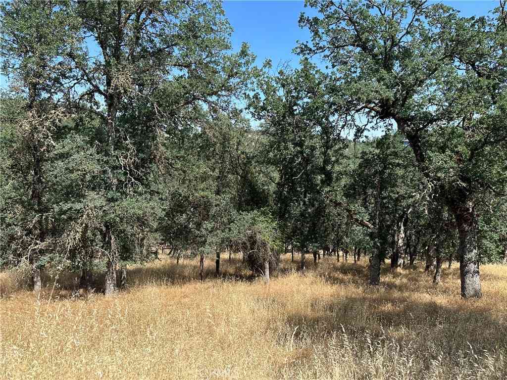 Vacant Land For Sale - 18051 Vista Point Court<br/> Hidden Valley Lake, CA 95467
