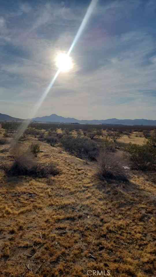 Vacant Land For Sale - Bellflower<br/> Adelanto, CA 92301