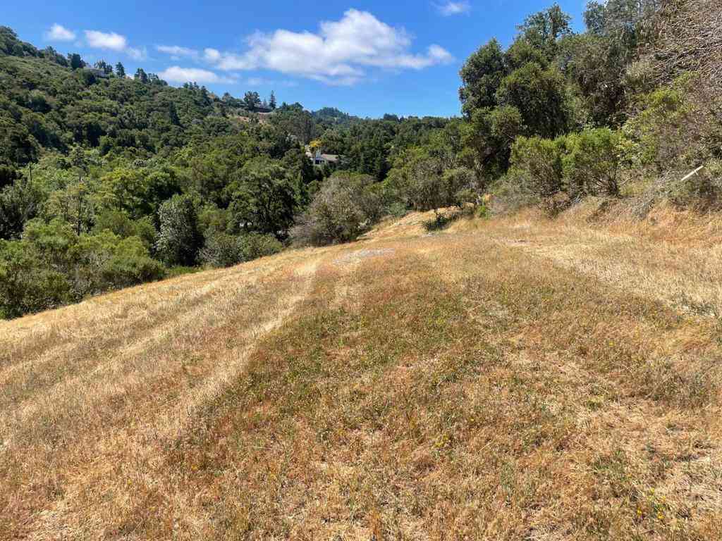 Vacant Land For Sale - Tartan Trail Road<br/> Hillsborough, CA 94010