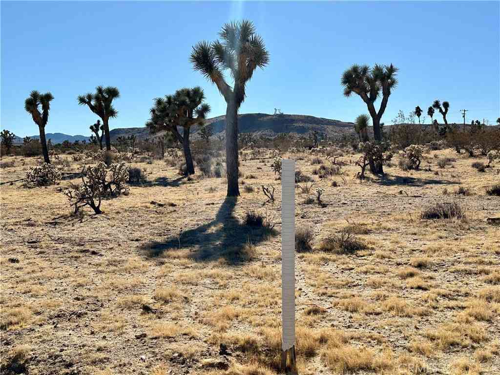 Vacant Land For Sale - 4726 Paradise View Road<br/> Yucca Valley, CA 92284