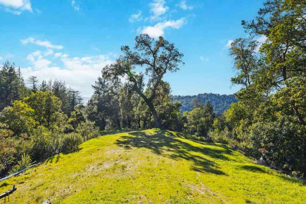Vacant Land For Sale - 28 Hartman Creek<br/> Boulder Creek, CA 95006