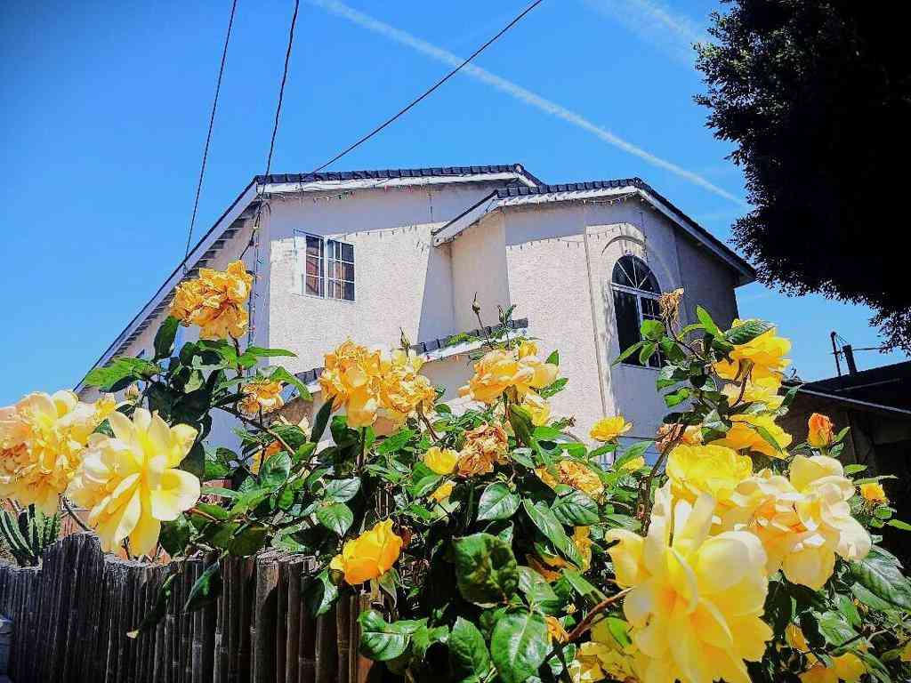Homes For Sale - 230-232 W 15th Street<br/> San Pedro, CA 90731
