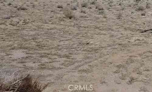 Vacant Land For Sale - Hollywood<br/> 29 Palms, CA 92277