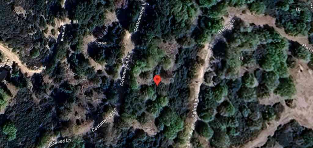Vacant Land For Sale - 29865 Hickory Drive<br/> Cedar Glen, CA 92321