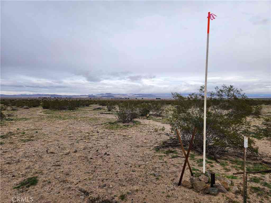 Vacant Land For Sale - 40 AC Near Center Road<br/> Newberry Springs, CA 92356