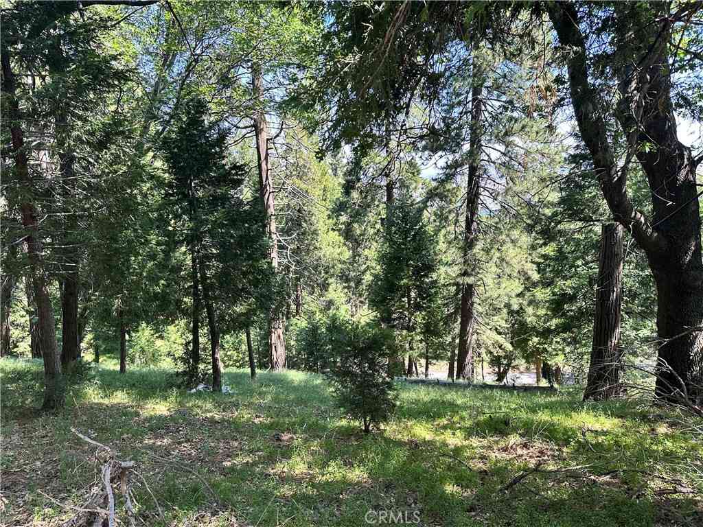 Vacant Land For Sale - Bone Drive<br/> Cedarpines Park, CA 92322