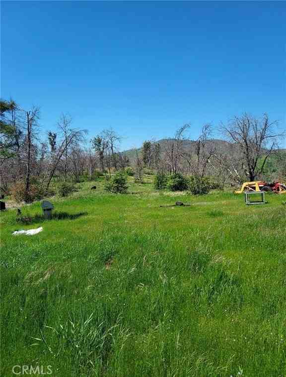 Vacant Land For Sale - 3109 Wild Dove Lane<br/> Mariposa, CA 95338