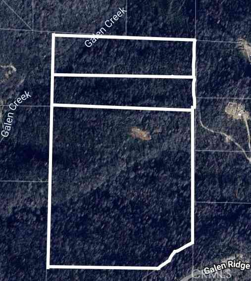 Vacant Land For Sale - Galen Ridge Road<br/> Berry Creek, CA 95916