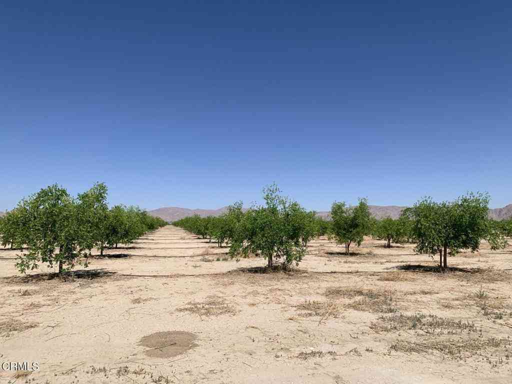 Vacant Land For Sale - 12500 Locust Avenue<br/> Lucerne Valley, CA 92356