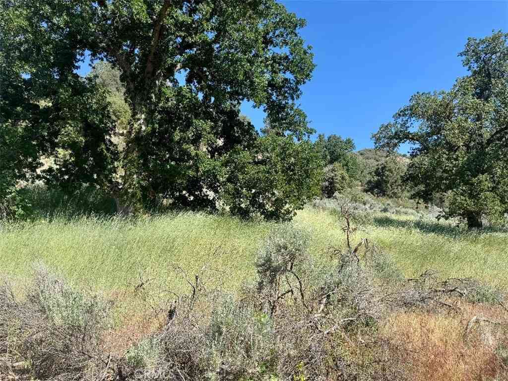 Vacant Land For Sale - Butterfield Way<br/> Bear Valley Springs, CA 93561